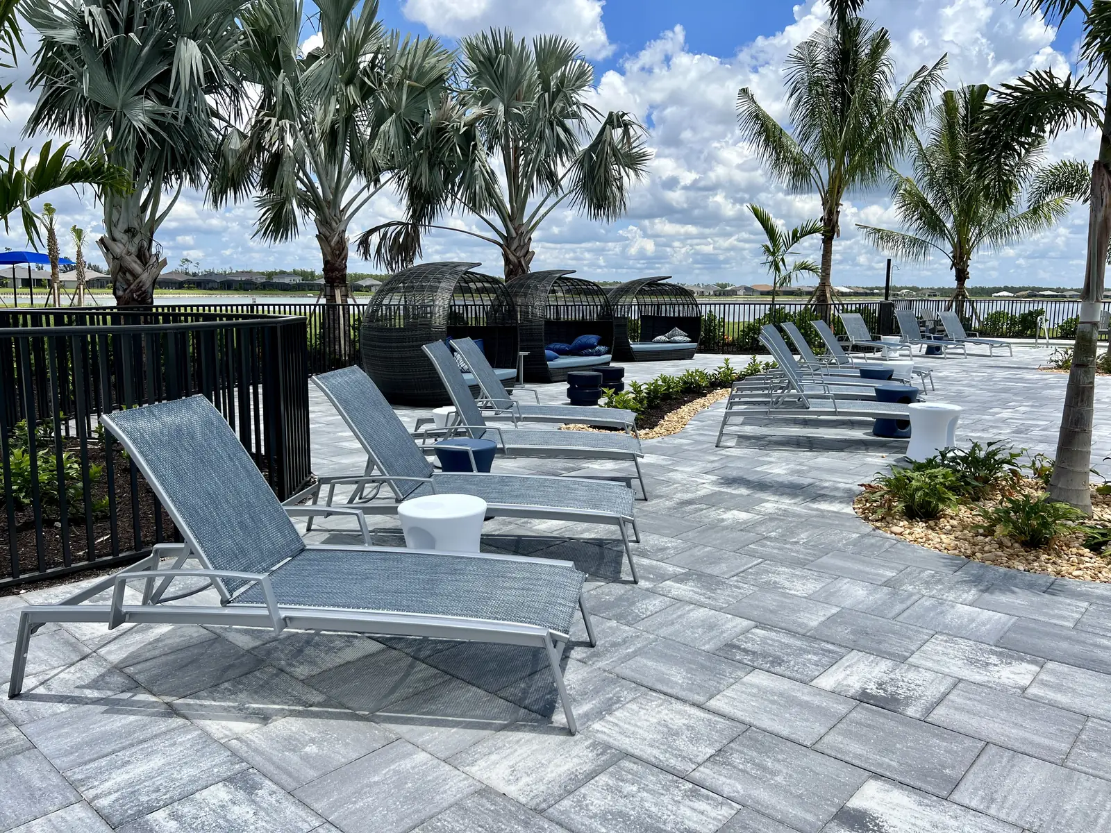 Pool terrace with loungers and palms